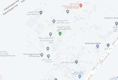 google map image